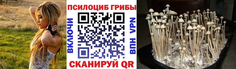 Псилоцибиновые грибы прущие грибы  Талдом 